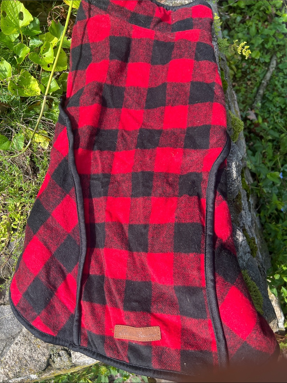 Eddie Bauer Red and Black Buffalo Plaid Dog Coat